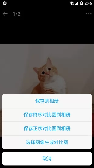 小猫成长值获得方法介绍-阴阳师小猫成长值怎么获得 (小猫成长速度)