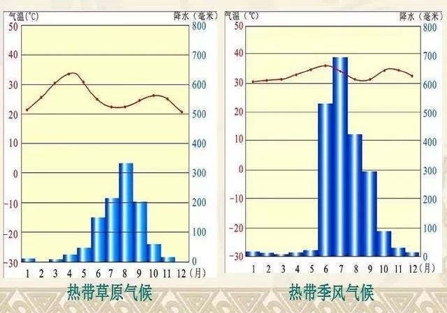 高中地理知识讲解-非洲气候,热带草原气候,垂直地带性