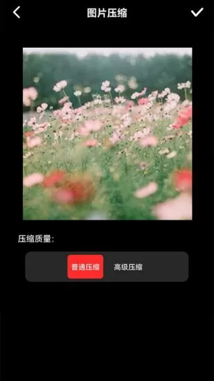 图像压缩器app v1.1 安卓版 1