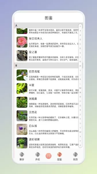 拍照识花识别植物app v1.1 安卓版 1