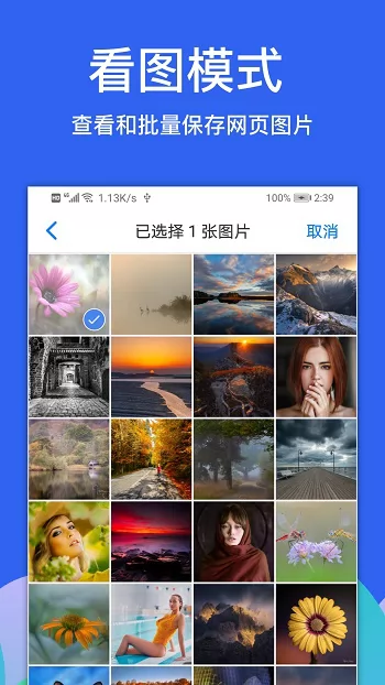 alook浏览器最新版app v6.0 官方手机版 3