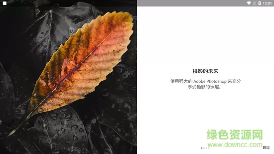 lightroom cc手机版 v7.1.1 安卓中文版 3