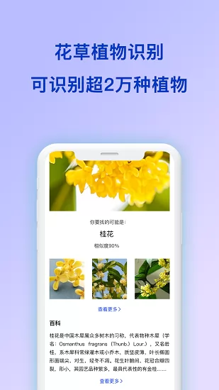 扫描识图取字(扫描全能王识图) v1.1.1 安卓版 1