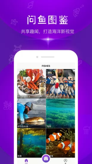 问鱼最新版 v1.1.15 官方版 0