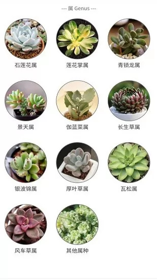 潮句多肉植物汇 v1.0 安卓版 2