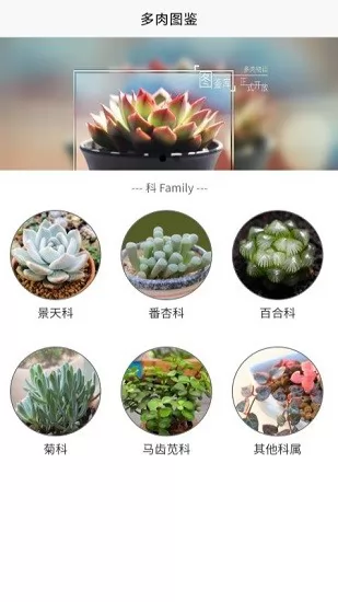 潮句多肉植物汇 v1.0 安卓版 1