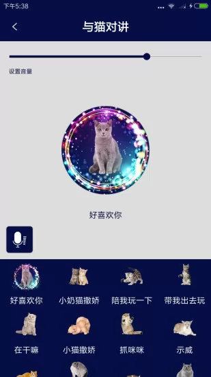 人猫人狗对讲机app下载