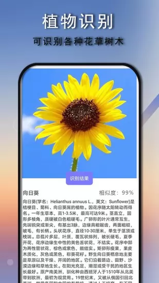 拍照识别王app最新版 v4.1.5 安卓版 2