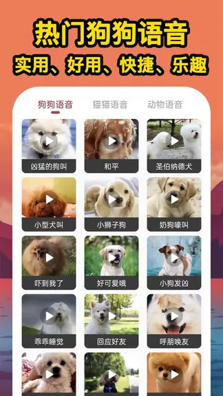 人人猫狗翻译交流器 v1.0.1 安卓版 0