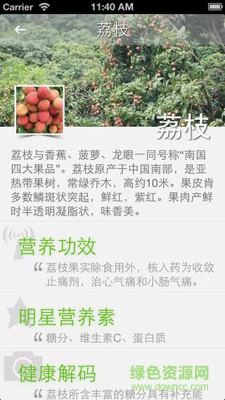 果蔬百科水果识别app v4.2.1 安卓手机版 2