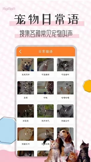 猫语翻译宝 v1.2.3 安卓版 2