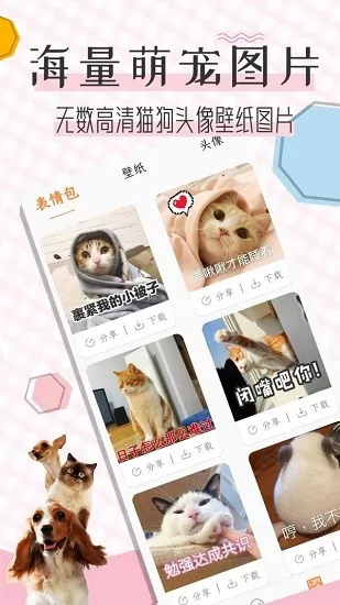 猫语翻译宝 v1.2.3 安卓版 3