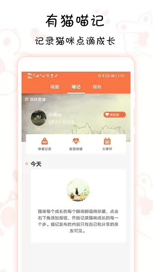 领喵(领养猫咪) v4.6.1 安卓版 2