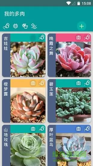 多肉成长记 v4.2.3 安卓版 1