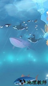 深海水族馆极地国际服 v1.0.13 安卓版 2