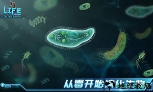 生命简史古生物放置手游 v1.1.0 安卓版 0