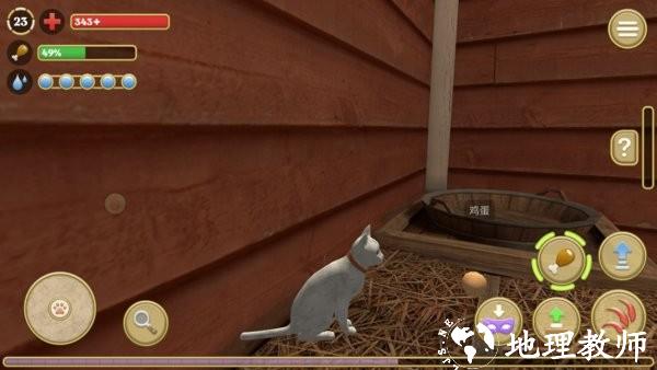 可爱小猫模拟器游戏 v1.0.8 安卓版 3