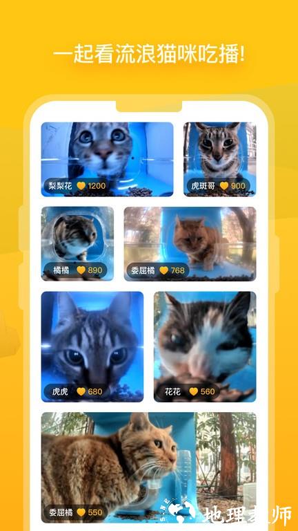 哈啰街猫app v1.10.0 安卓最新版 2