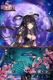 醉游三国九游版 v1.0.0 安卓版 0