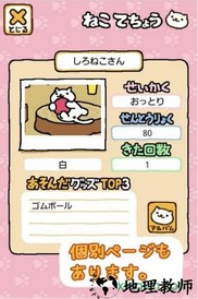 猫咪后院中文版(Neko Atsume) v1.12.0 安卓汉化版 3