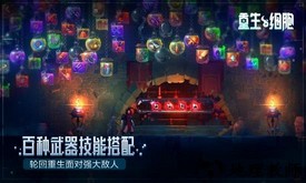 重生细胞bilibili版 v3.3.5-bilibili-UO 安卓版 1