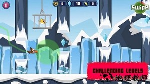 斗殴鸟(brawl birds) v3.59 安卓版 3