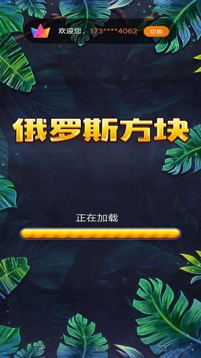 俄罗斯消除大神游戏 v1.0 安卓版 1