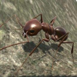 蚂蚁世界模拟器最新版