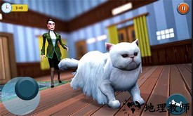 虚拟猫模拟器宠物猫官方版(CAT & MAID) v3.8 安卓版 3