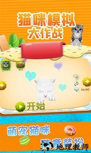 猫咪模拟大作战游戏 v3.7.7 安卓版 1