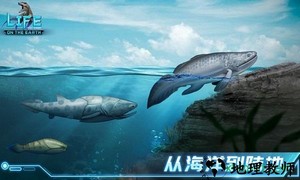 生命简史古生物放置九游版 v1.1.0 安卓版 2