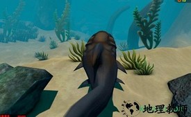 海底大猎杀山海经版本 v2.0.6 安卓版 2