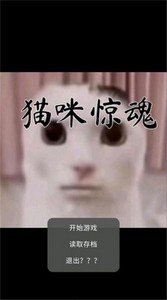 猫咪惊魂游戏 v23.01.191628 安卓版 1