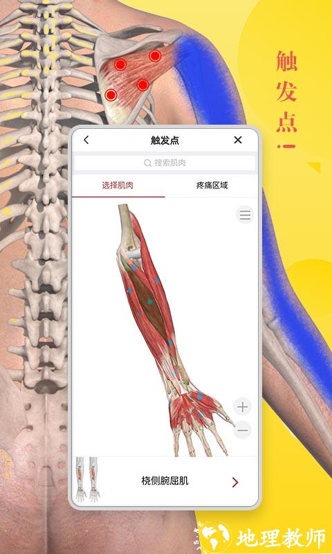 3dbody解剖图手机版 v8.7.51 安卓官方版 3