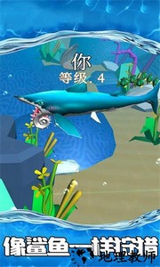 鲨鱼世界手游 v1.57 安卓版 2