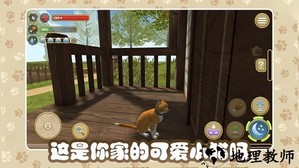 猫咪农场游戏 v1.0.0.2 安卓版 1