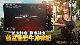 pubg mobile国际服经典版 v2.7.0 安卓版 0