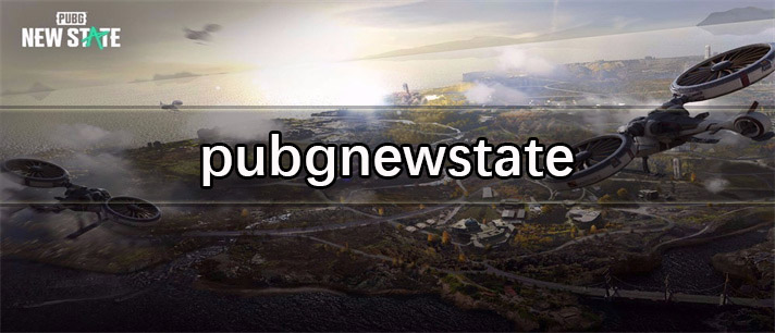 pubgnewstate手游推荐