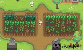 猫咪之森最新版(Cat Forest) v1.1 安卓版 1