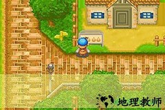 牧场物语矿石镇的伙伴们男孩版 v1.8.0 安卓版 3