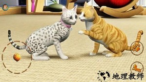 猫咪想恋爱手游 v300.1.0.3018 安卓版 1