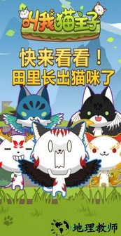 猫主子h5游戏 v1.0 安卓版 2