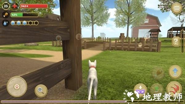 可爱小猫模拟器游戏 v1.0.8 安卓版 0