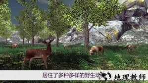 真实采蘑菇模拟器最新版 v1.8 安卓版 2