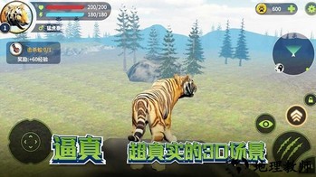 老虎生存大作战手游 v1.4 安卓版 3