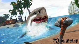 鲨鱼大冒险小游戏 v1.6 安卓版 1