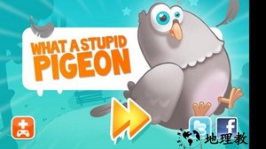 愚蠢的鸽子游戏(stupid pigeon) v1.0.6 安卓版 0