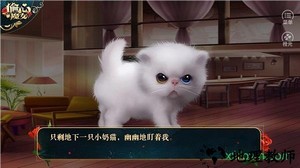 橙光偷心魔女游戏 v3.1.02 安卓版 0