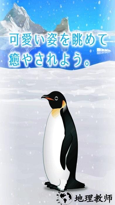 治愈的养成企鹅最新版(penguin) v1.0 安卓版 0