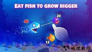 兴奋吃鱼游戏(Eat Fish.IO) v1.3.1 安卓版 0